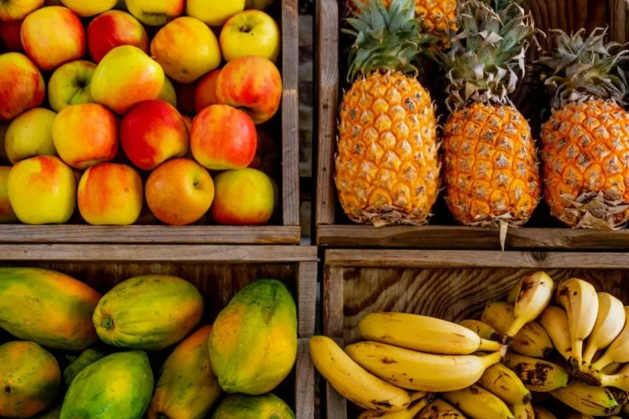 Jakarta Barat adalah salah satu daerah di DKI Jakarta yang memproduksi banyak jenis buah-buahan. Penasaran, buah apa saja paling dipanen?