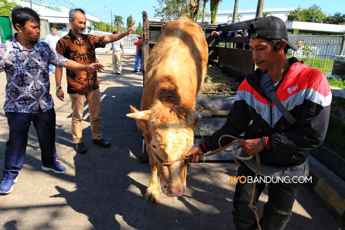 Bacaan Niat Kurban Idul Adha 2022 untuk Orang Tua dan Orang yang Sudah Meninggal Dunia