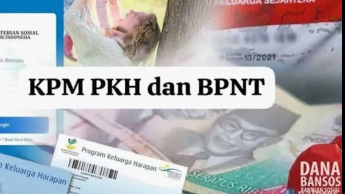 Salah satu faktor yang menjadi penyebab calon KPM bansos PKH atau BPNT tercoret dari status penerima di periode kedua atau periode April-Juni adalah perolehan pendapatan.