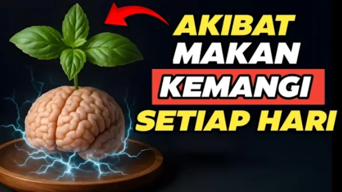 Ilustrasi. Menjadi salah satu penghasil senyawa Eugenol yang penting dalam membantu peradangan, manfaat pertama dari daun Kemangi adalah sebagai anti inflamasi atau nyeri pada sendi.