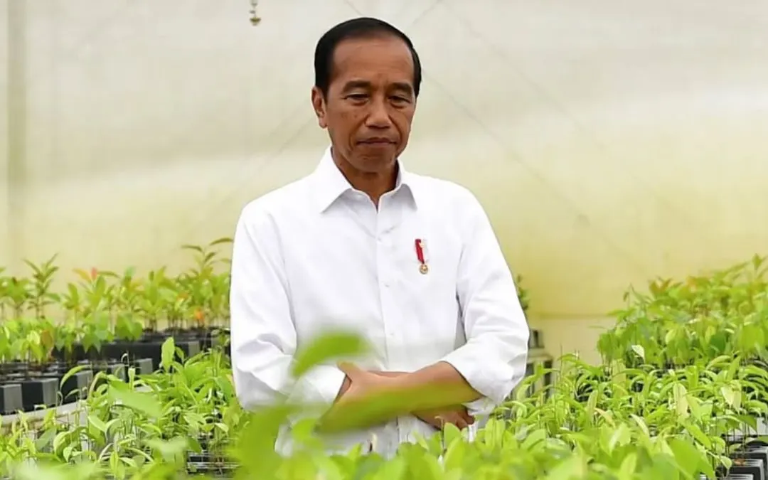 TPUA menganggap pihak Universitas Gadjah Mada kurang kooperatif sehingga perkara dugaan ijazah palsu Joko Widodo tidak mereda.