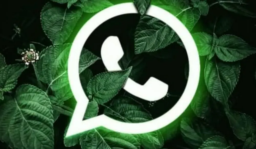 Keunggulan yang dimiliki WhatsApp jika dibanding aplikasi pesan multimedia lainnya adalah adanya konsistensi dalam pemutakhiran fitur.