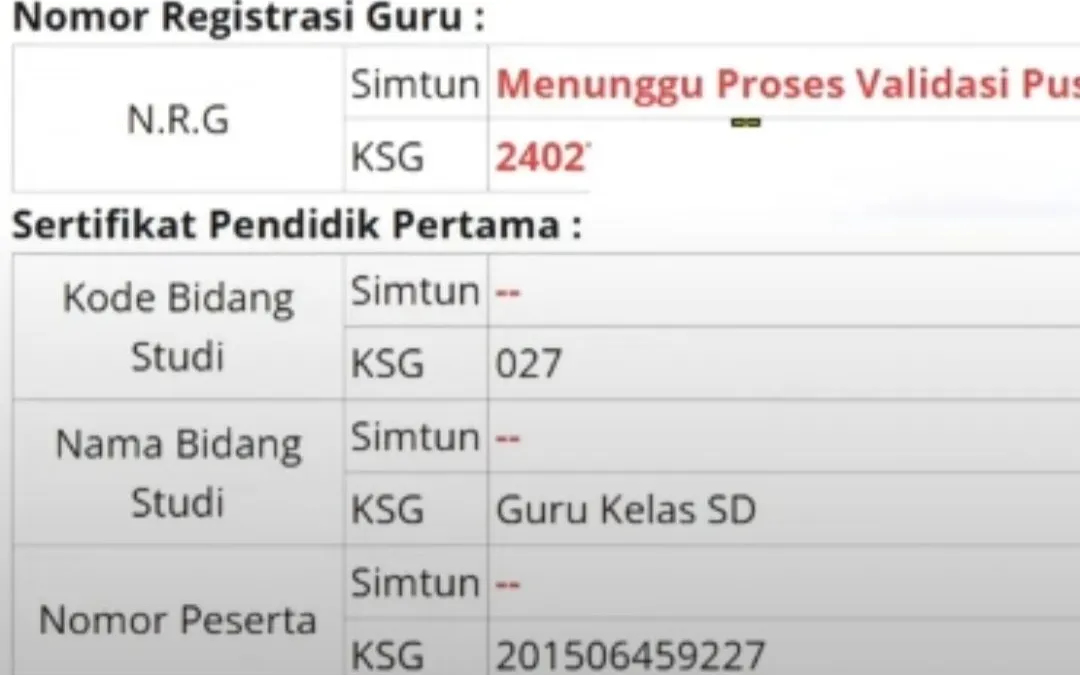 Illustrasi. Ketahui perbedaan NRG Dan KSG di dapodik