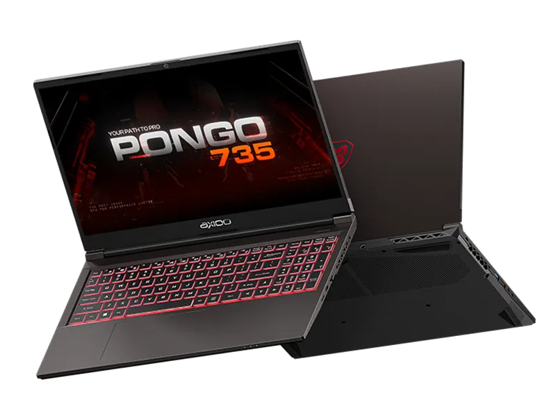 Laptop terbaru produsen Indonesia, Axioo Pongo 735 memiliki beberapa kekurangan yang cukup mendasar pada bagian layarnya.