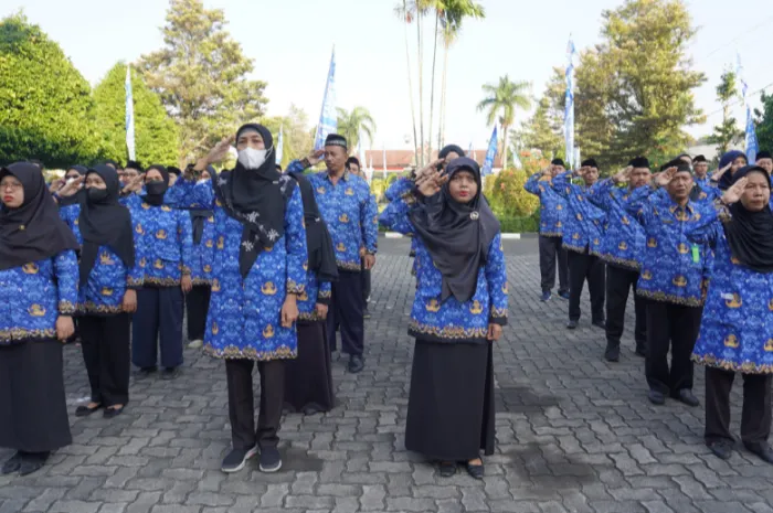 P3K sektor pendidikan di Makassar dan Jawa timur mengalami transformasi signifikan dalam kebijakan kontrak kerja.