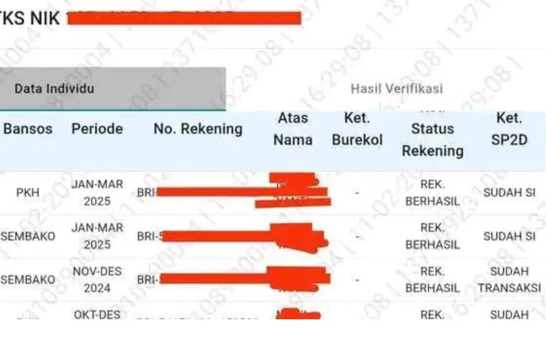 Terpantau sudah banyak Keluarga Penerima Manfaat (KPM) yang melaporkan adanya saldo masuk di bank BSI dan juga BRI.