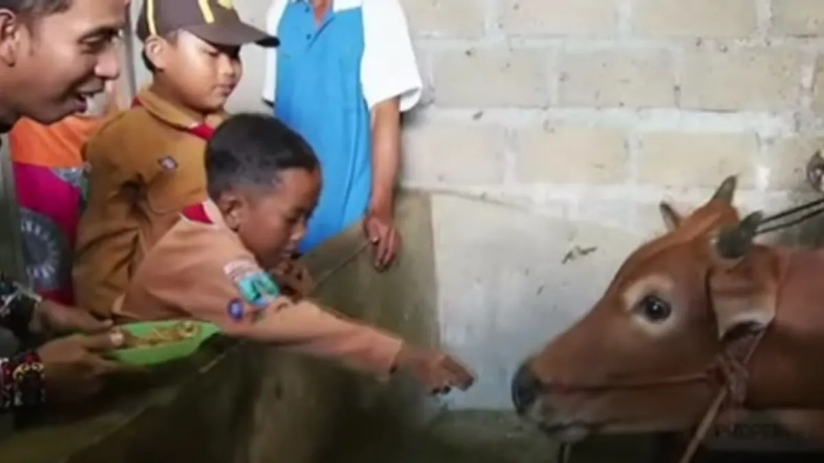 Berbekal martabak dan kue, Guru Ribut kemudian mendatangi kandang Sapi milik Kamali yang merupakan tetangga di sekitar rumah Desril.