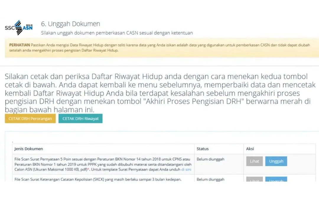 Illustrasi.Berikut informasi terkait dokumen yang wajib diunggah peserta saat mengisi DRH NI PPPK 2024 tahap 1.