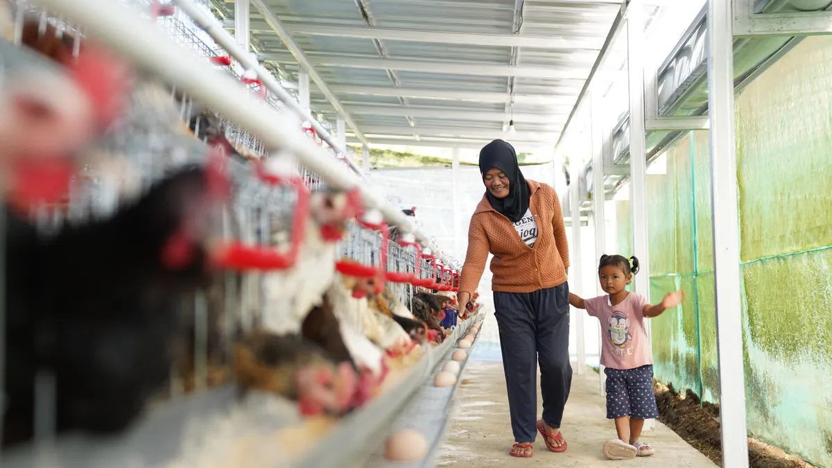 Warga Kampung Madani Kopeng merawat ayam petelur hibah PNM sebagai bagian dari program ketahanan pangan desa.