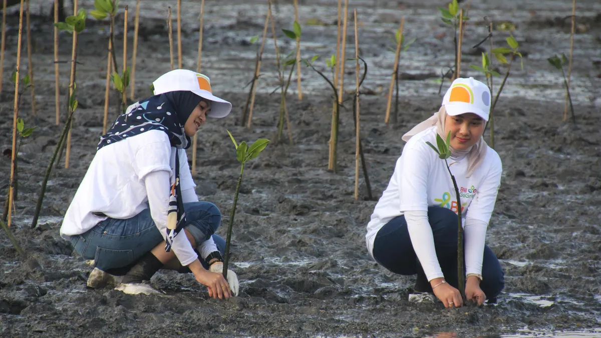 BNI tanam mangrove di 60 hektare pesisir Jawa Timur, wujud nyata komitmen hijau dan dampak ekonomi berkelanjutan bagi masyarakat.