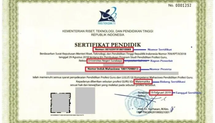 Dapat Nomor Registrasi Guru (NRG) merupakan langkah penting bagi peserta Program Profesi Guru (PPG) 2024 untuk angkatan 1, 2 dan 3.