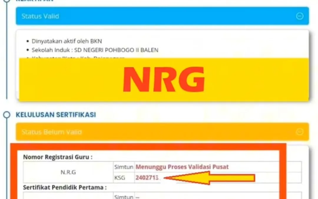 Nomor Registrasi Guru (NRG) resmi terbit