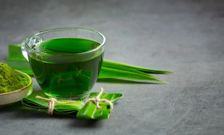 Setiap Lembar Punya Sederet Manfaat, Inilah Fakta Mengagumkan dari Air Rebusan Daun Pandan yang Vital untuk Kesehatan!