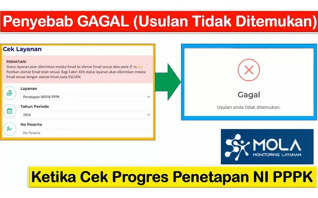 Penyebab Notifikasi Usulan Tidak Ditemukan Saat Cek Progres Penetapan NIP PPPK di Mola BKN