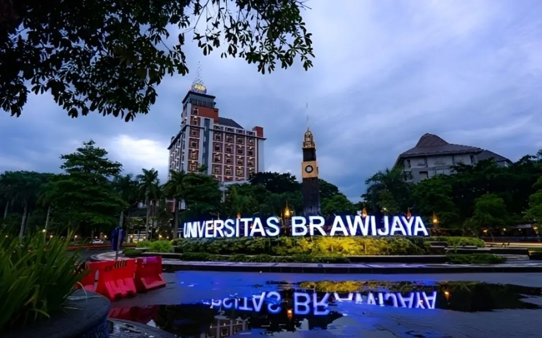  Illustrasi. prediksi nilai rata-rata SNBP Universitas Brawijaya 2025 untuk seluruh jurusan