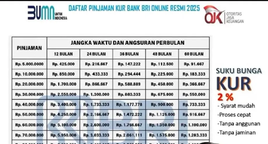 KUR BRI 2025 telah dibuka secara online, hal ini akan mempermudah nasabah dan dapat dilakukan melakukan HP serta di mana saja.