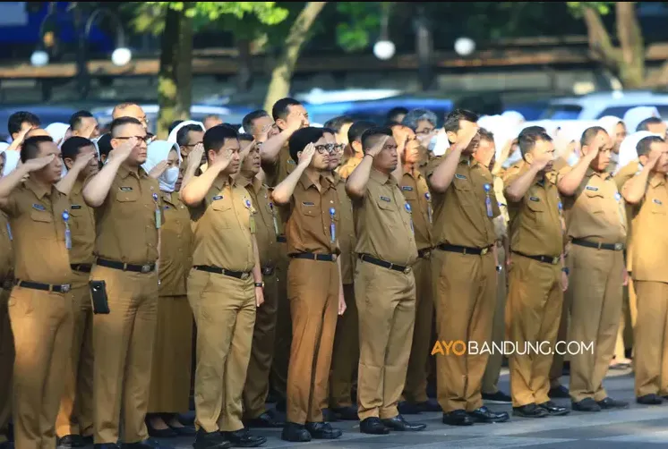 Berdasarkan kebijakan terbaru, umumnya honorer yang tidak lolos seleksi PPPK akan ditempatkan dalam beberapa kategori.