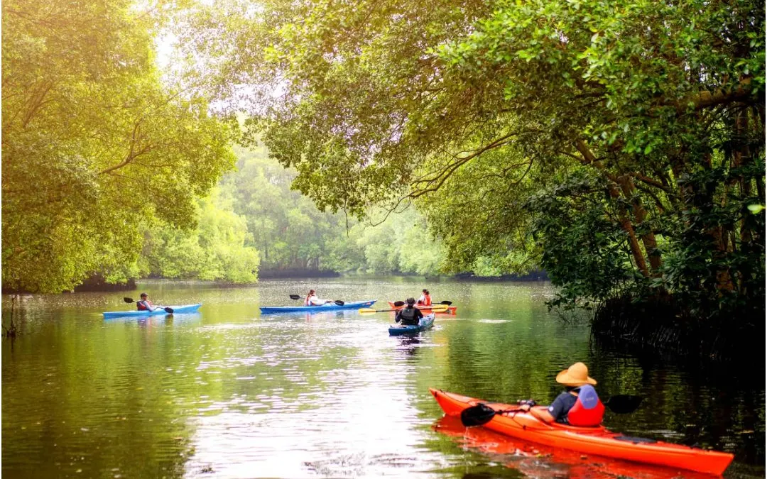 Taman Wisata Alam Mangrove Angke Kapuk