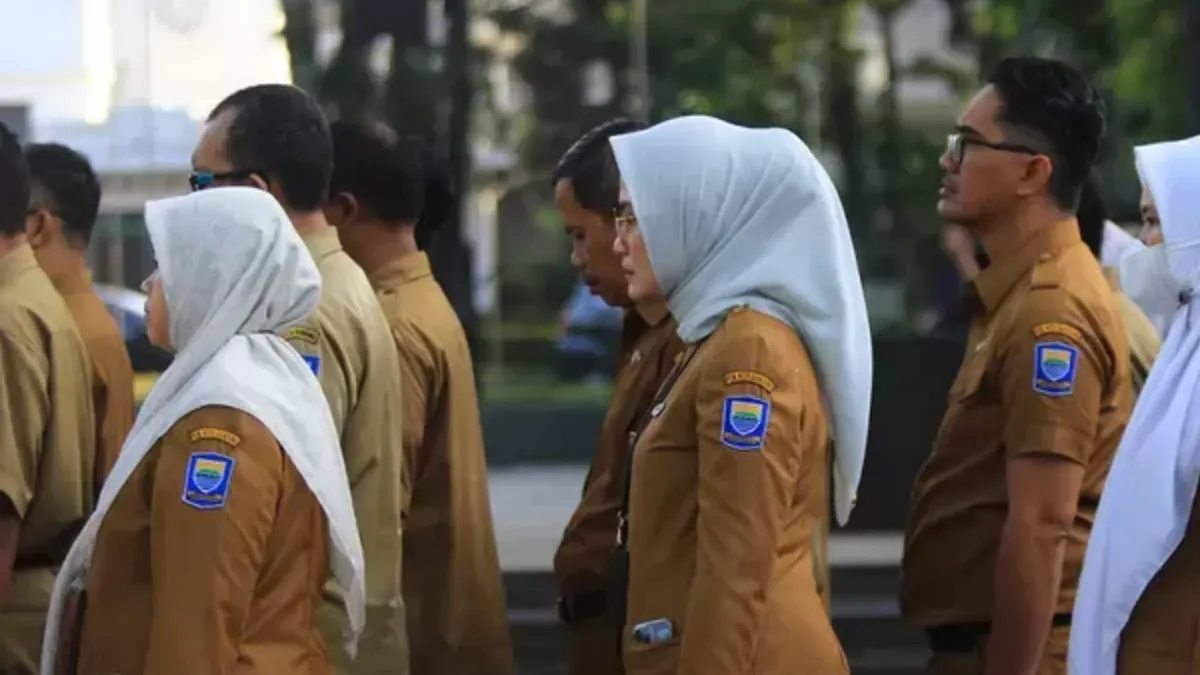 Ketujuh jabatan itu telah dikaji secara mendalam untuk memenuhi kebutuhan instansi pemerintah dan mengakomodasi kompetensi para honorer.