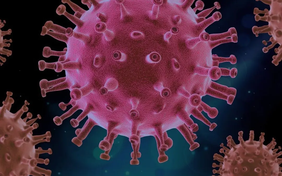 Illustrasi. Virus HMPV 