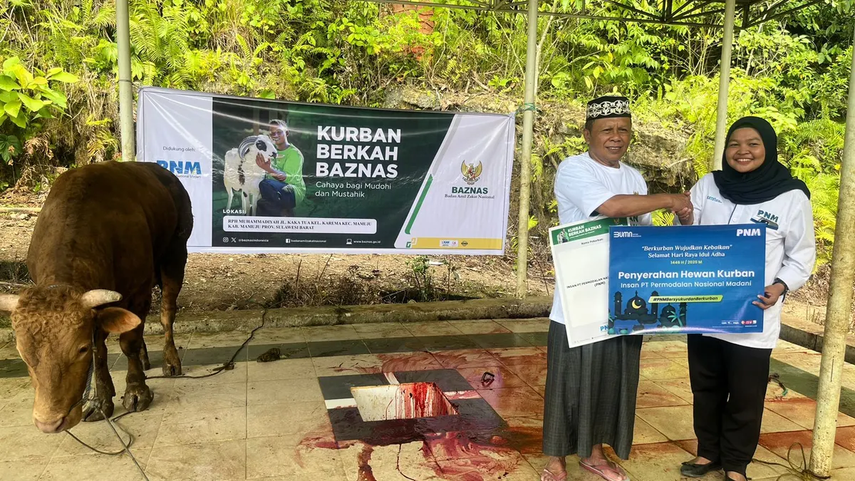 PNM dan BAZNAS Antar Kurban dari Donasi Karyawan hingga ke Ujung Negeri