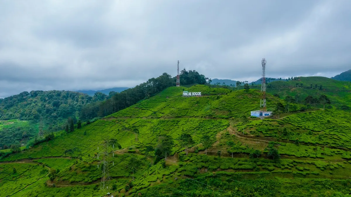 Ilustrasi kawasan Puncak.( Ammar Andiko on Unsplash)