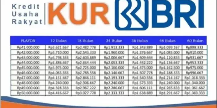 Beredar kabar banyak nasabah Bank Rakyat Indonesia (BRI) mengeluhkan ketidakmampuan untuk mengajukan Kredit Usaha Rakyat (KUR) Mikro.