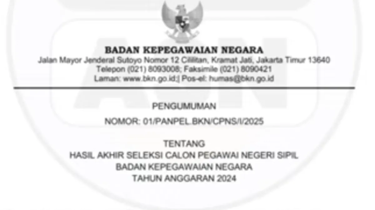 Penting, Ini Arti Kode 'P,L, U1,U3, E1, E2, E3 Dan TMS' di Hasil Seleksi Tes CPNS 2024, Awas Keliru