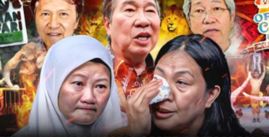 Oriental Circus Indonesia atau OCI yang biasa menghibur pengunjung di Taman Safari Indonesia, semakin menjadi sorotan.