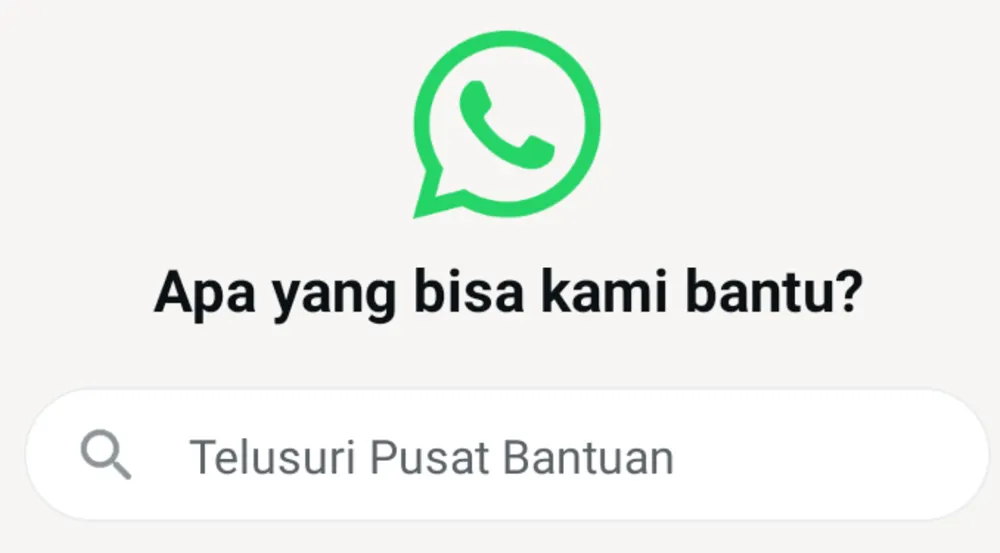 Sebagai aplikasi dengan jumlah pengguna terbanyak di dunia, salah satu kelebihan aplikasi WhatsApp adalah fitur yang bervariasi.