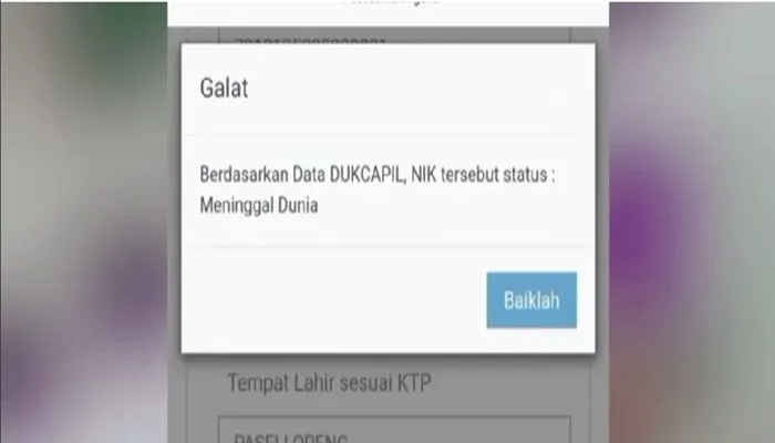 Kelucuan-kelucuan pelamar CPNS 2024 pada saat pendaftaran tersebut dinamakan CPNS core.