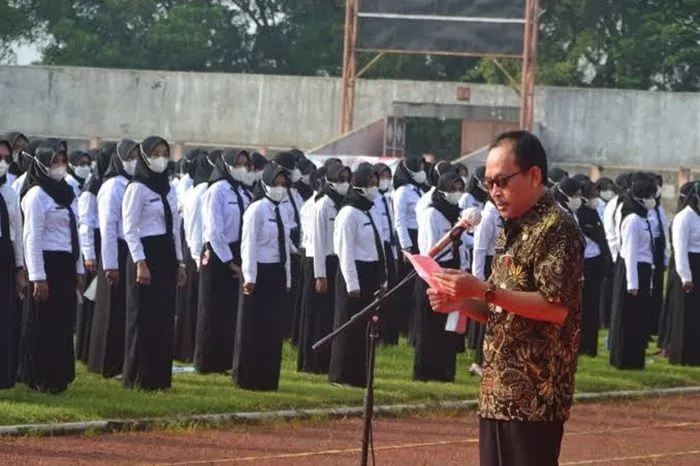 Panduan Lengkap Persiapan dan Tahapan Seleksi CPNS 2024