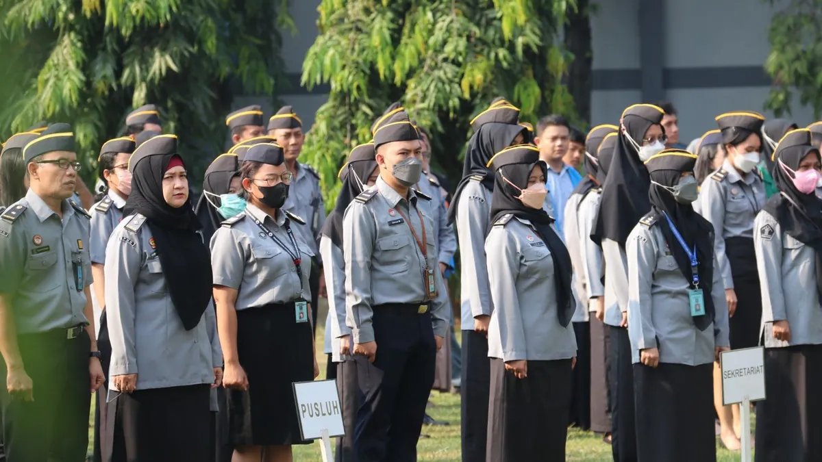 11 Instansi CPNS 2024 yang Bisa untuk Pelamar Ijazah SMA Sederajat
