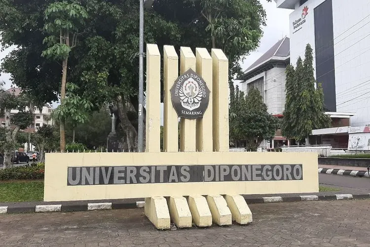 UNDIP