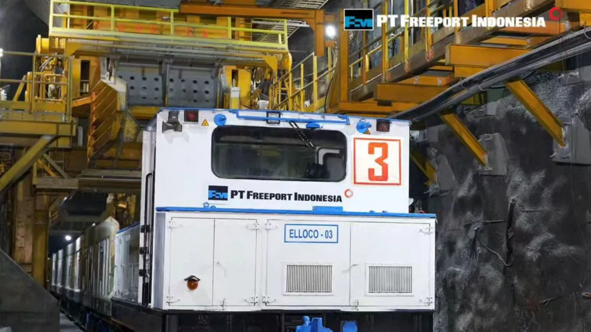 PT Freeport Indonesia