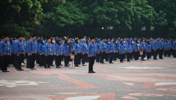 Ilustrasi instansi pusat dan daerah yang buka seleksi CPNS 2024.