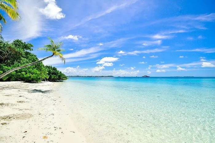 Kepribadian seseorang yang menyukai pantai dan gunung