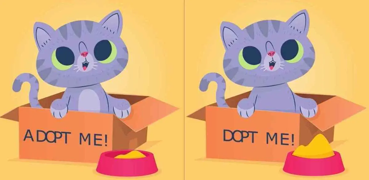 Tes Penglihatan: Coba Temukan 3 Perbedaan pada Anak Kucing dalam Box Ini, Uji Ketajaman Mata Kamu