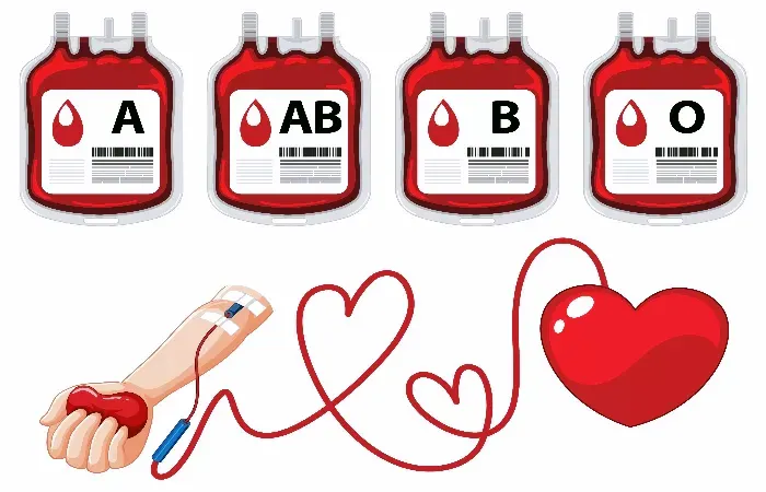 Ilustrasi. Tipe Pasangan yang Paling Cocok Buat Kamu Pemilik Golongan Darah A, B, O, dan AB