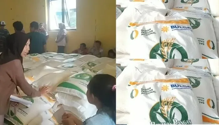 Daftar program bansos yang dijadwalkan akan disalurkan pada September 2024