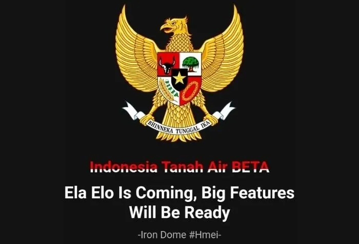 Ela Elo, Medsos Pemerintah Pengganti X