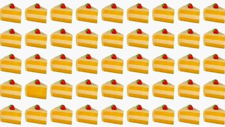 Tes Ilusi Optik: Bisakah Kamu Temukan Cheesecake yang Berbeda dalam 10 Detik? Buktikan Mata Masih Tajam