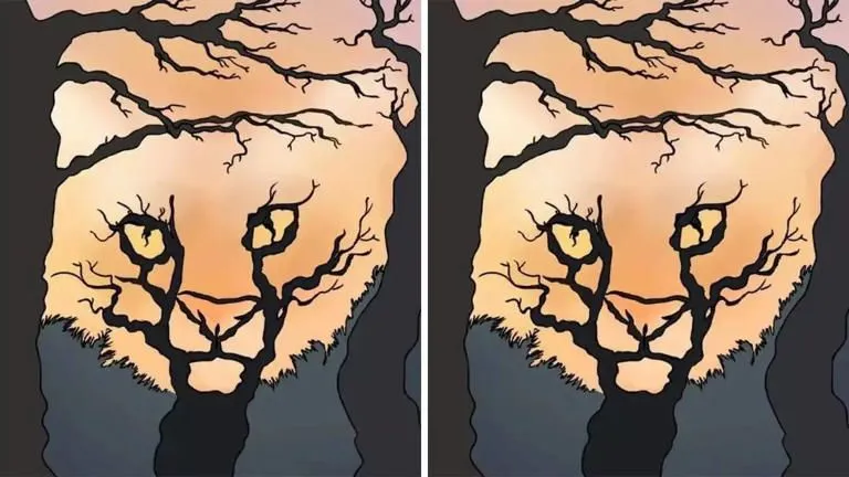 Tes Ilusi Optik: Gambar yang Pertama Dilihat Cerminkan Kamu Keras Kepala atau Suka Damai?