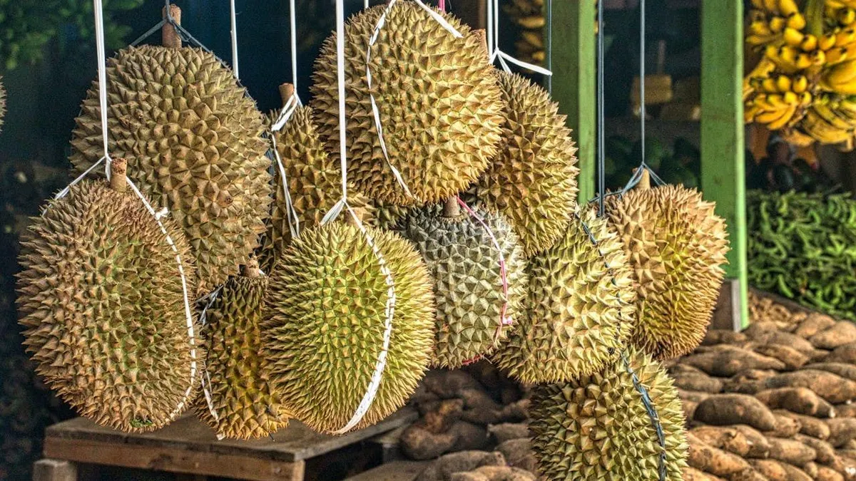 Berdasarkan data Badan Pusat Statistik (BPS), hanya ada empat daerah yang menjadi penghasil buah durian pada tahun 2023.