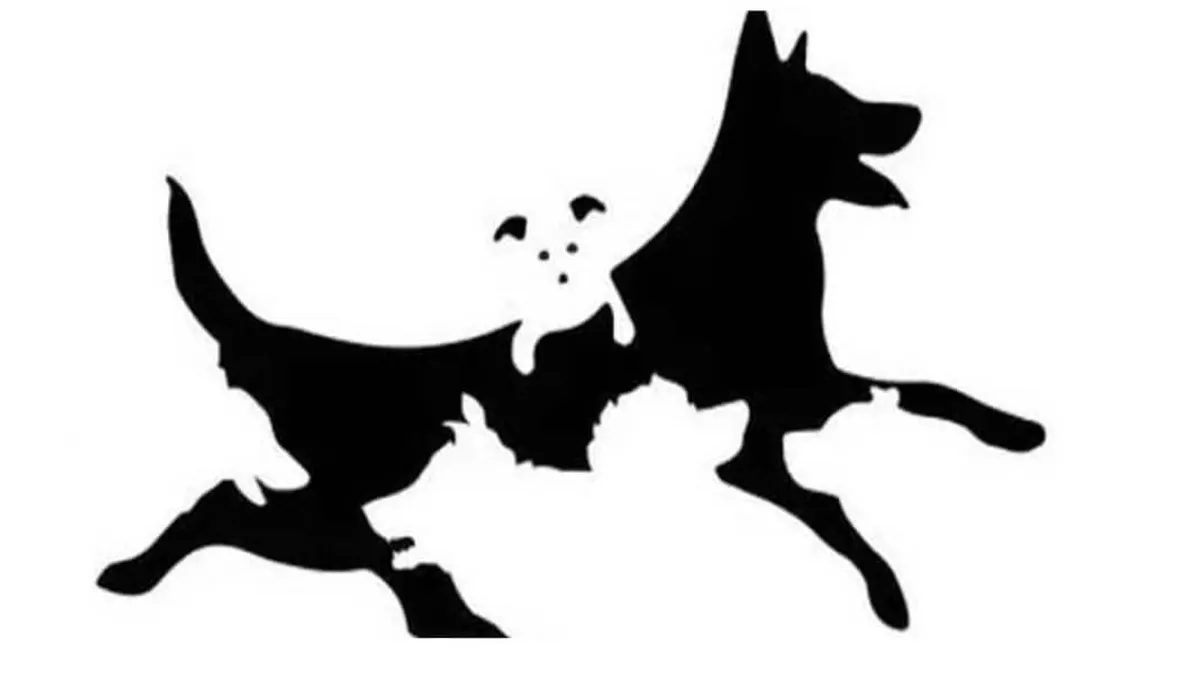 Tes Kepribadian: Seberapa Dewasa Usia Pemikiranmu? Ungkap dengan Jawab Berapa Jumlah Anjing di Gambar Ini!