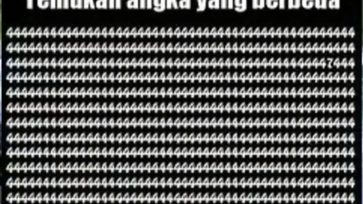 Tes penglihatan.