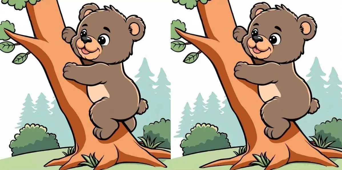 Tes Penglihatan: Temukan 3 Perbedaan Gambar Koala Dalam Waktu 13 detik, Seberapa Teliti Kamu?