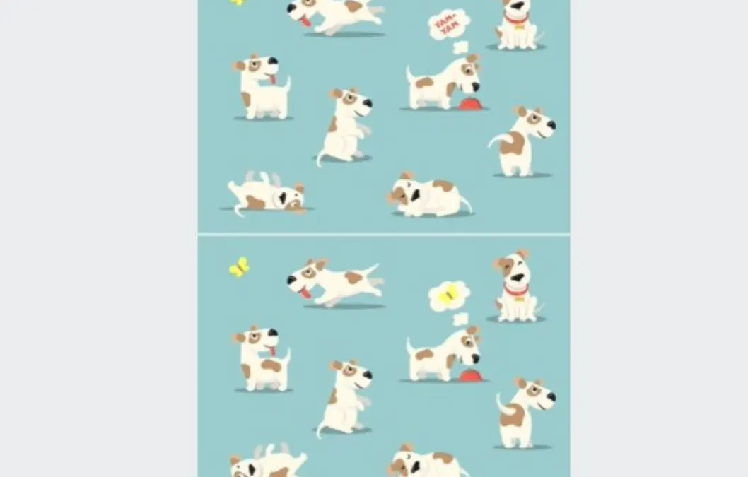 Boleh ngaku punya IQ tinggi bila menemukan 4 perbedaan pada anjing dalam gambar ini