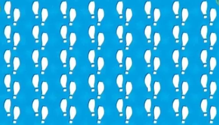 Tes IQ: Kurang Fokus Belakangan Ini? Coba Temukan Jejak Kaki Aneh di Gambar, Waktumu 7 Detik!