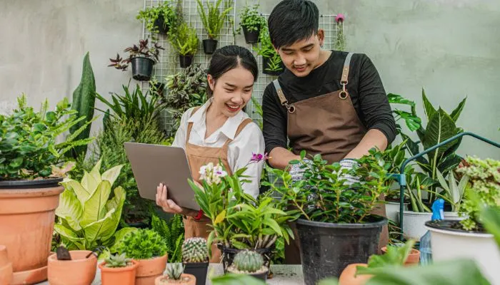 Ilustrasi 7 ide usaha yang cocok di desa menguntungkan dan bisa kaya raya